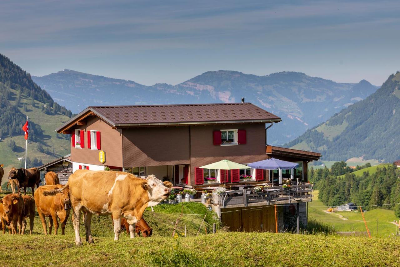 The Swiss Paradise 2 Apartment With Garden, Whirlpool, And Mountain Panorama Wirzweli Dış mekan fotoğraf